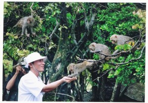 Đảo khỉ - du lịch Cát Bà