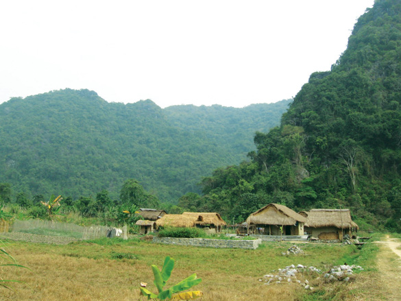 Nét đẹp thôn dã của làng Việt Hải